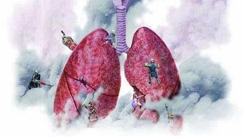 1733299573541753.png 16383374657993.png